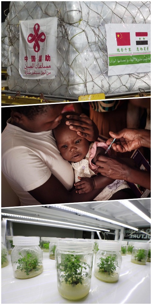 一带一路-健康丝绸之路