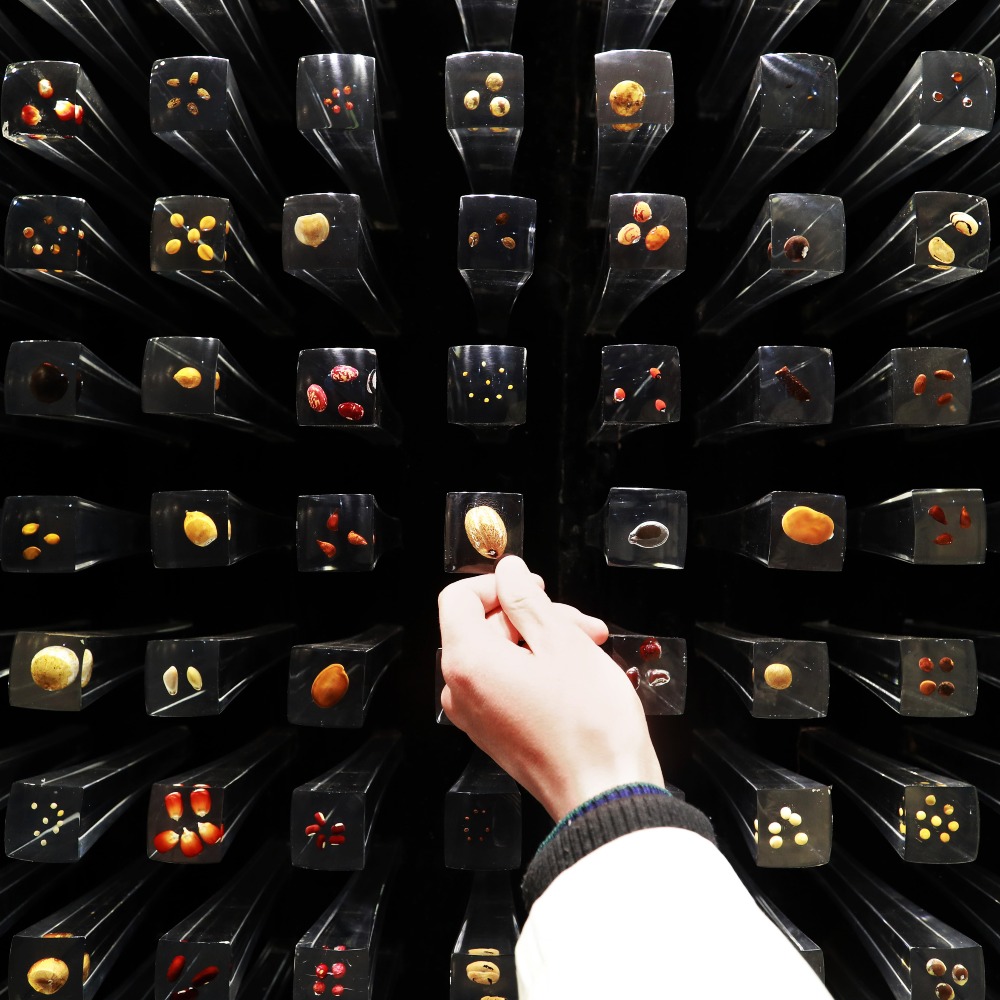 8萬種子｜亞洲最大種子銀行為植物打造「挪亞方舟」 | 中國之最| 通識中國| 當代中國