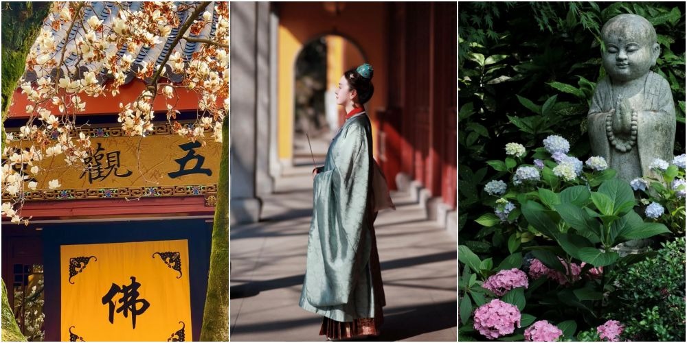 每年春天，杭州法喜寺那棵500年古玉蘭花開，還有永福寺繡球花，吸引許多遊客前來參觀，有年輕人穿上漢服到寺廟打卡並祈福。