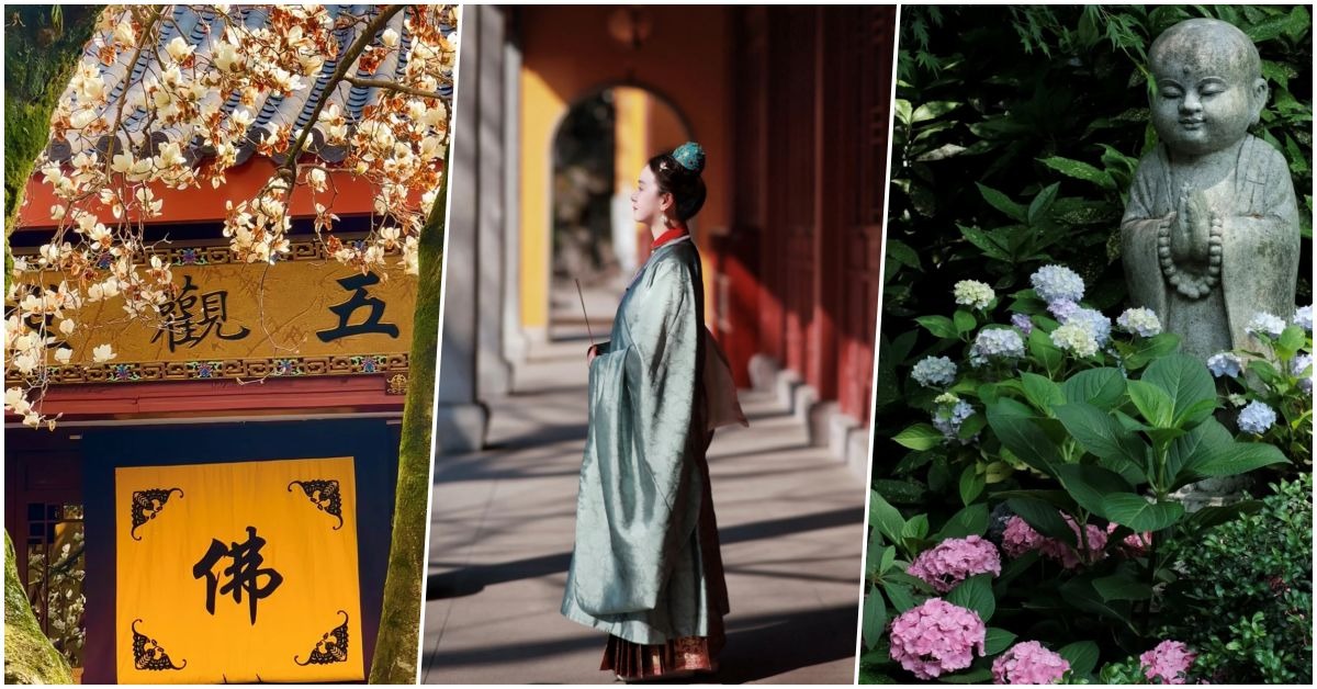 每年春天，杭州法喜寺那棵500年古玉蘭花開，還有永福寺繡球花，吸引許多遊客前來參觀，有年輕人穿上漢服到寺廟打卡並祈福。