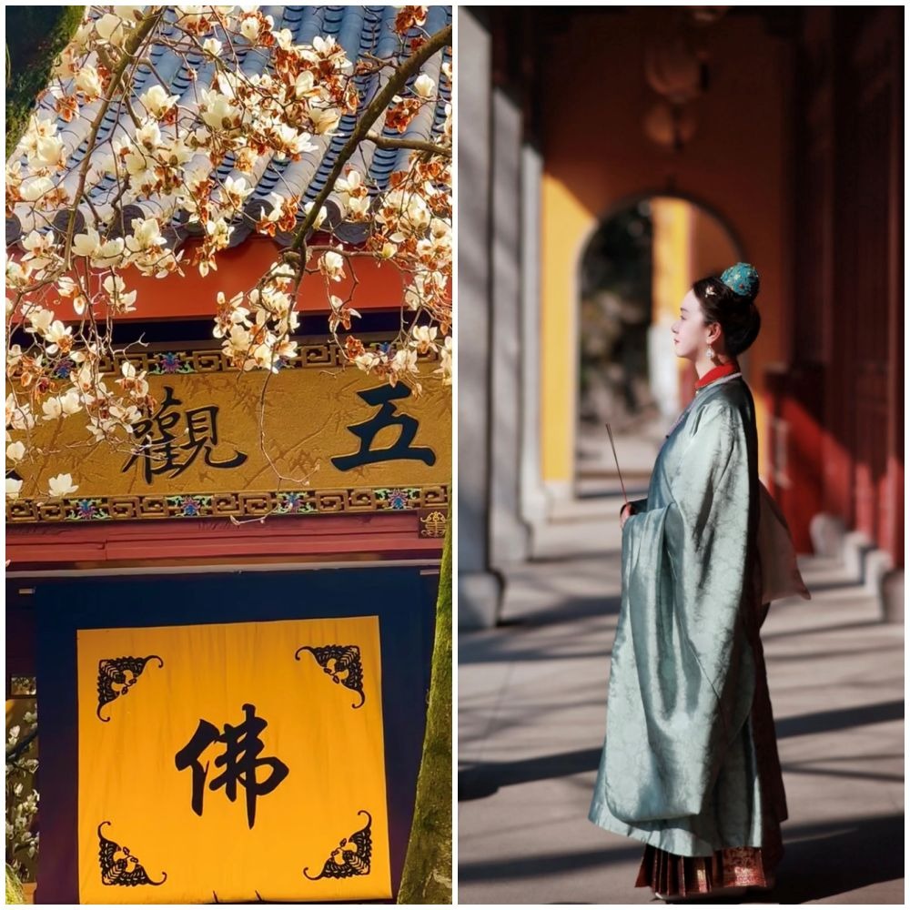每年春天，杭州法喜寺那棵500年古玉蘭花開，還有永福寺繡球花，吸引許多遊客前來參觀，有年輕人穿上漢服到寺廟打卡並祈福。