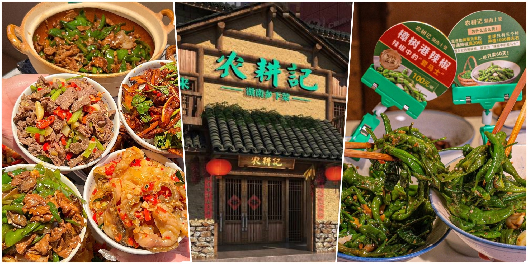 北上必食｜深圳人气餐厅农耕记 必试“辣椒中的爱马仕” 300元1斤值不值得？ | 百味中国 | 潮游生活 | 当代中国