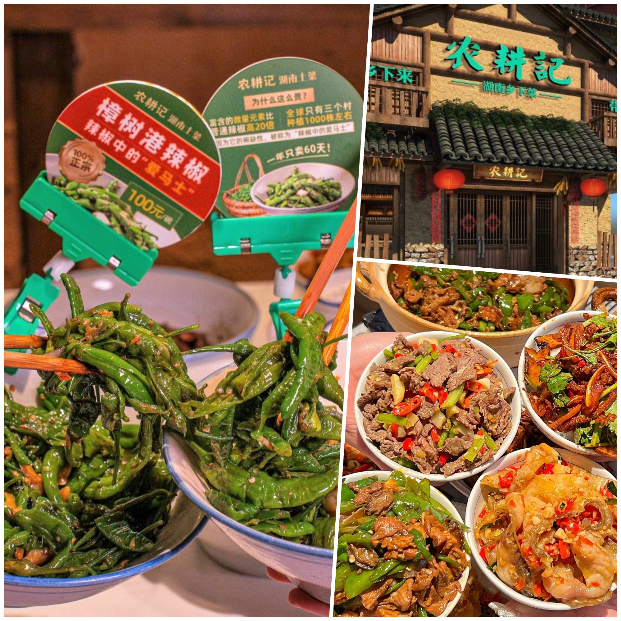北上必食｜深圳人气餐厅农耕记 必试“辣椒中的爱马仕” 300元1斤值不值得？ | 百味中国 | 潮游生活 | 当代中国