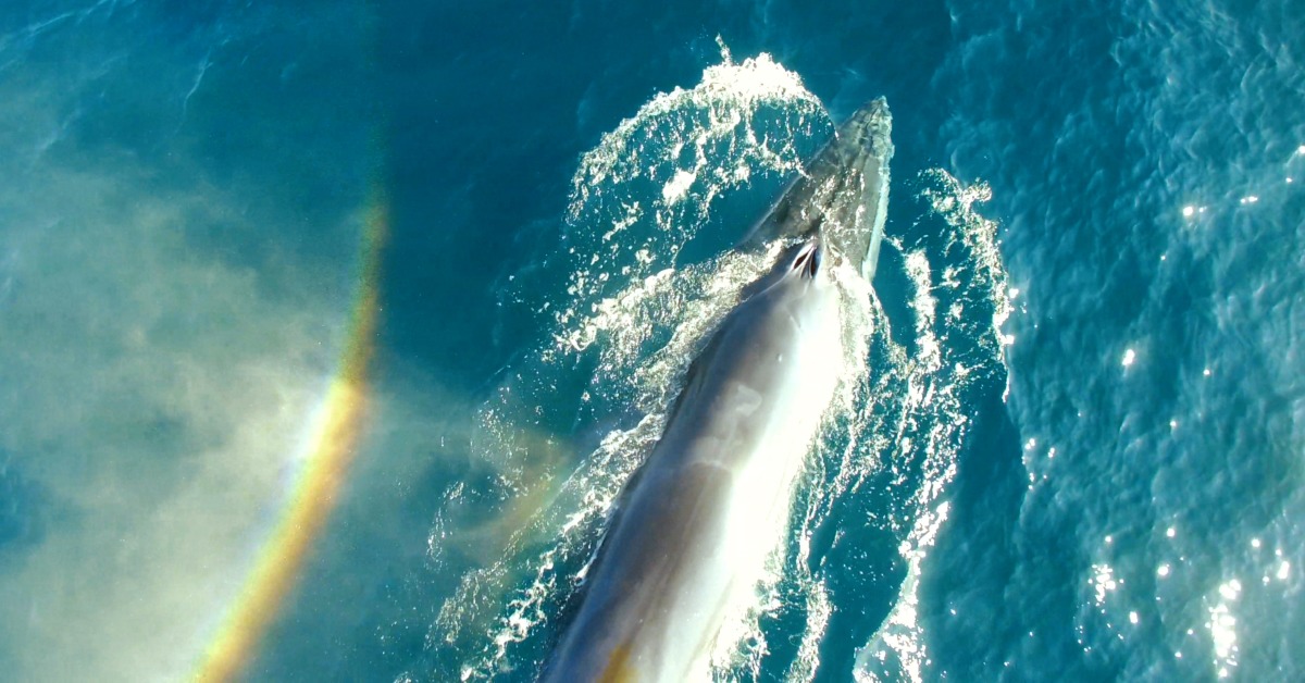 當代中國-影視時尚-蔚藍之境紀錄片