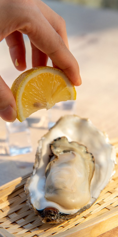 當代中國-影視時尚-從農場到餐桌