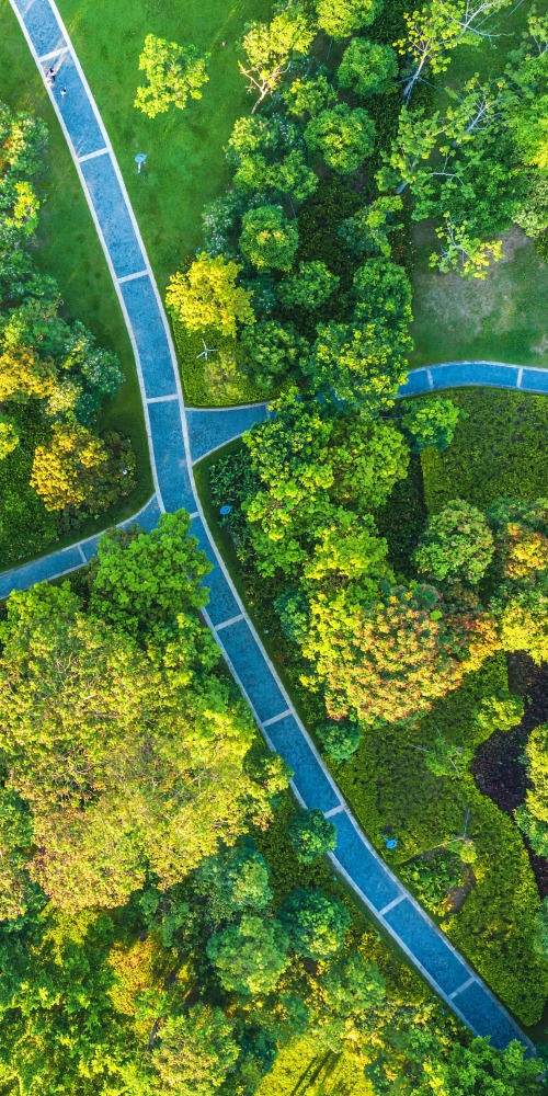 Development Plan Outline for the Greater Bay Area - Ecological Civilisation Construction