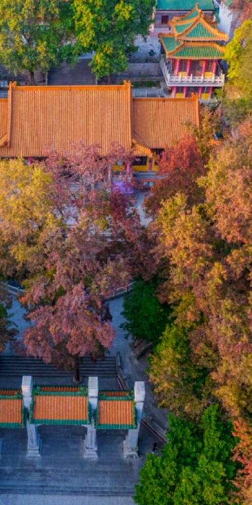 江門圭峰山國家森林公園