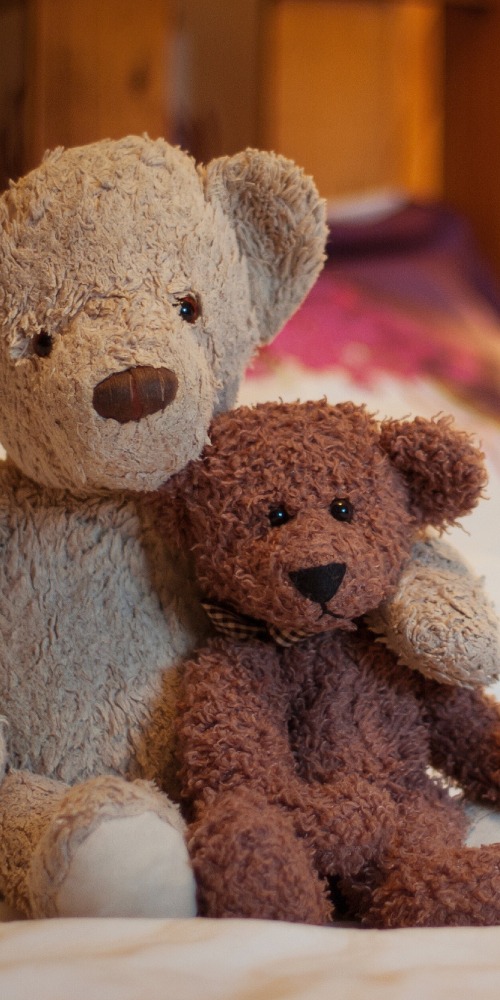 當代中國-思念熊