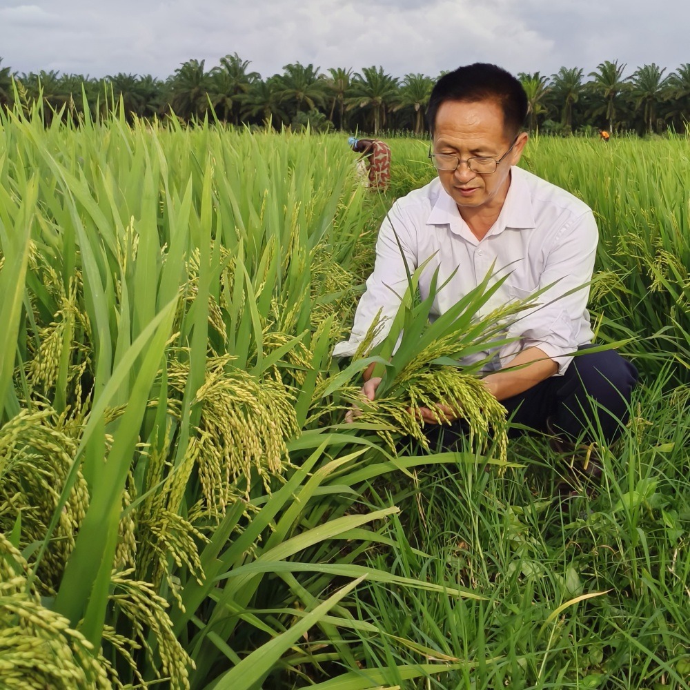 感动中国年度人物|野菜充饥 算盘计数据 彭士禄逆境研发核潜艇 | 时代英雄 | 非凡人事 | 当代中国