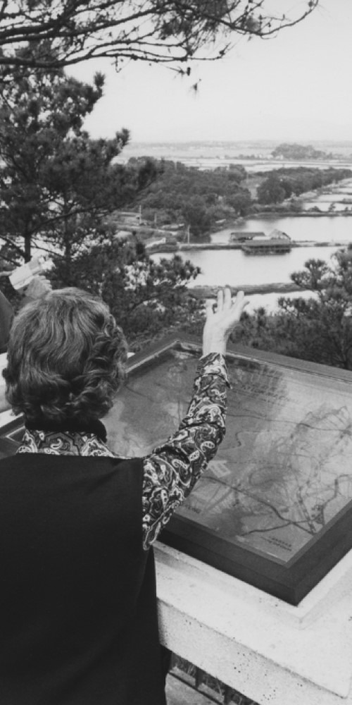 1979年，曾獲諾貝爾文學獎提名的詩人洛夫在余光中陪同下，登上落馬洲瞭望台，眺望一河之隔的祖國，寫下經典的《邊界望鄉》，這是其中一段。