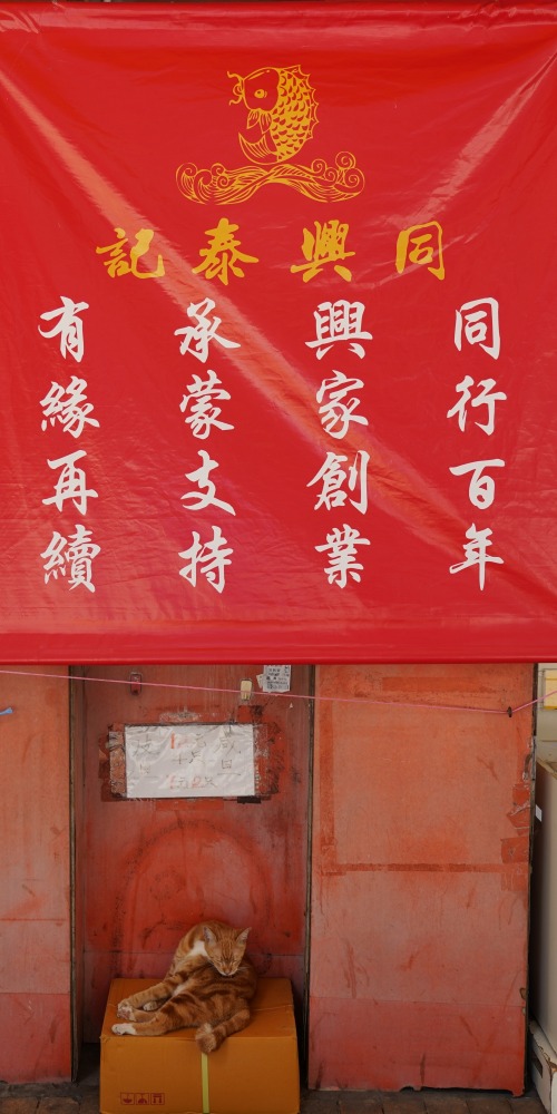 當代中國-飛凡香港-同興泰記正式結業