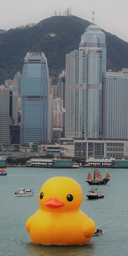 當代中國-飛凡香港-黃鴨遊香港驅走鬱悶負能量