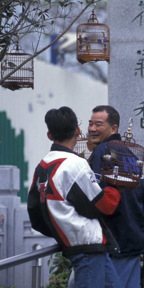 園圃街雀鳥花園