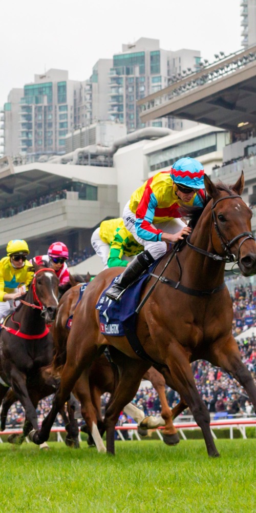 香港赛马
