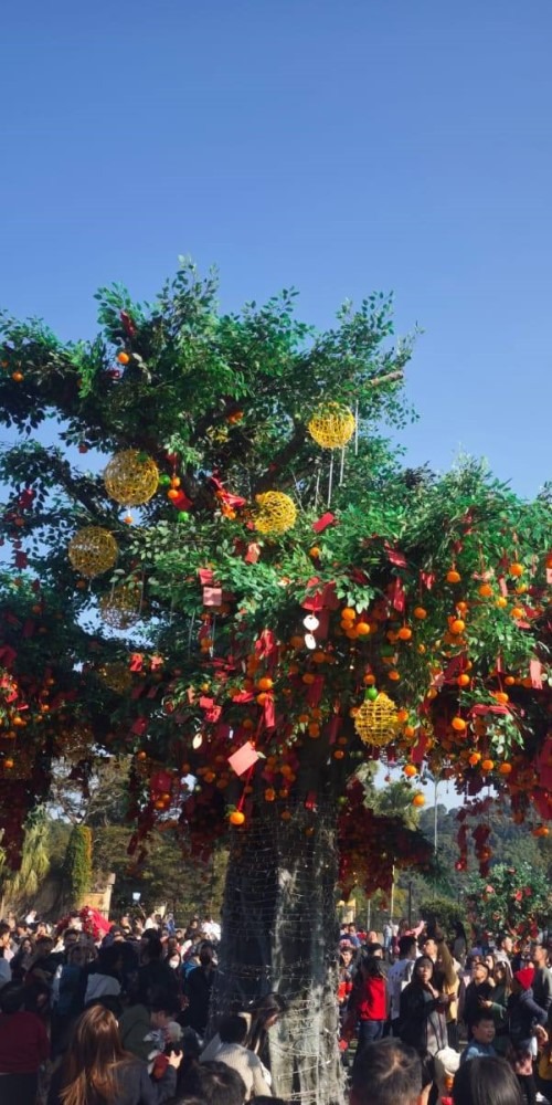 Lam Tsuen Wishing Tree