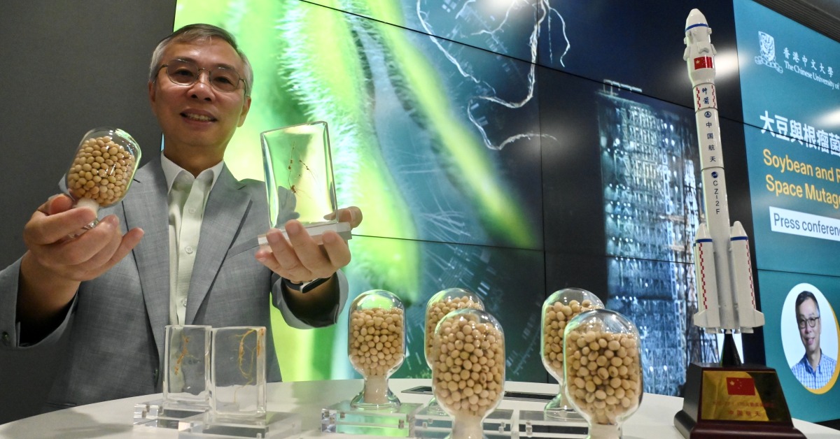 大豆回家林汉明