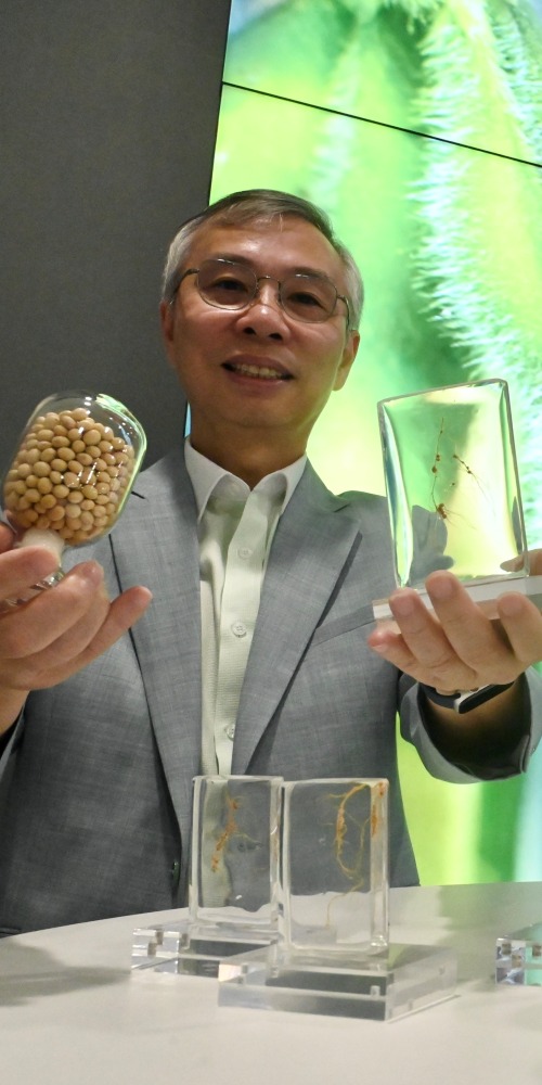 大豆回家林汉明