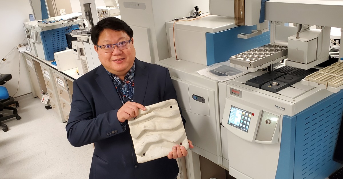 生態磚塊梁美儀