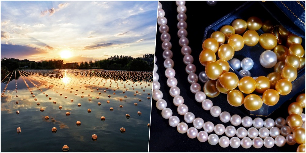 浙江山下湖珍珠