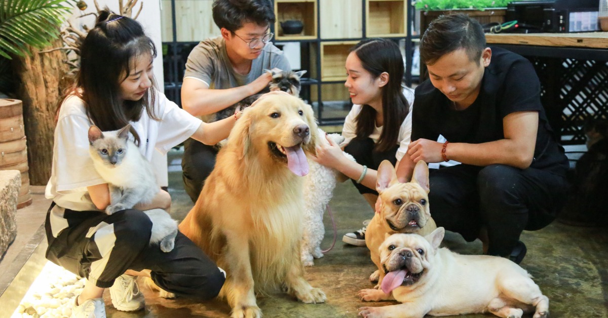 新興行業-寵物偵探