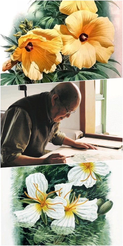 “中国植物画第一人”曾孝濂