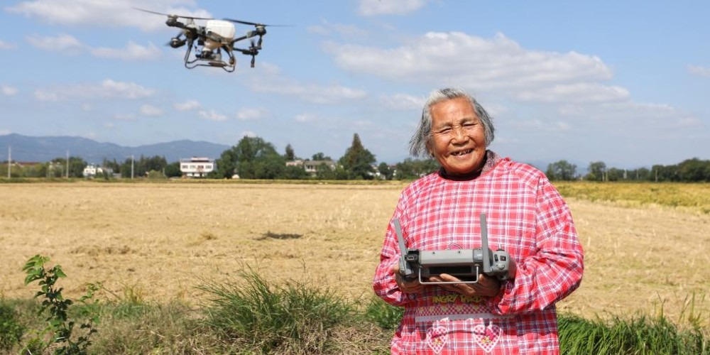 「80歲後」新農人戴淑英