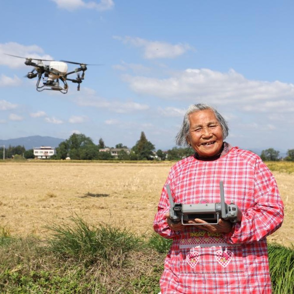 「80歲後」新農人戴淑英