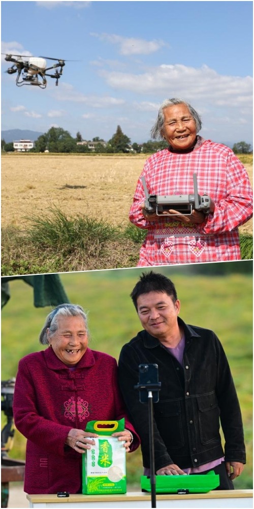 「80歲後」新農人戴淑英