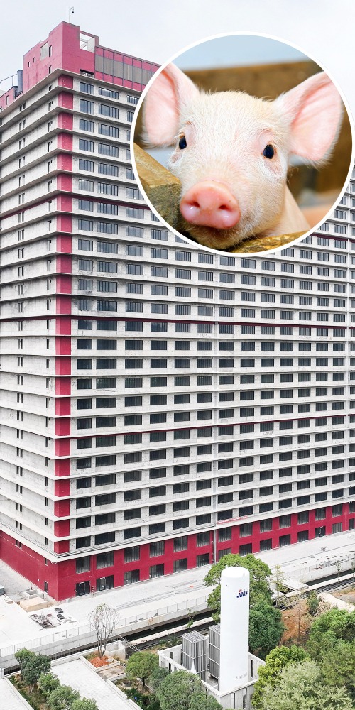 养猪大楼里的“黑科技”备受关注