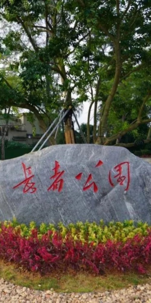 當代中國-粵港澳大灣區-樂活灣區-一小時生活圈-肇慶長者公園cover