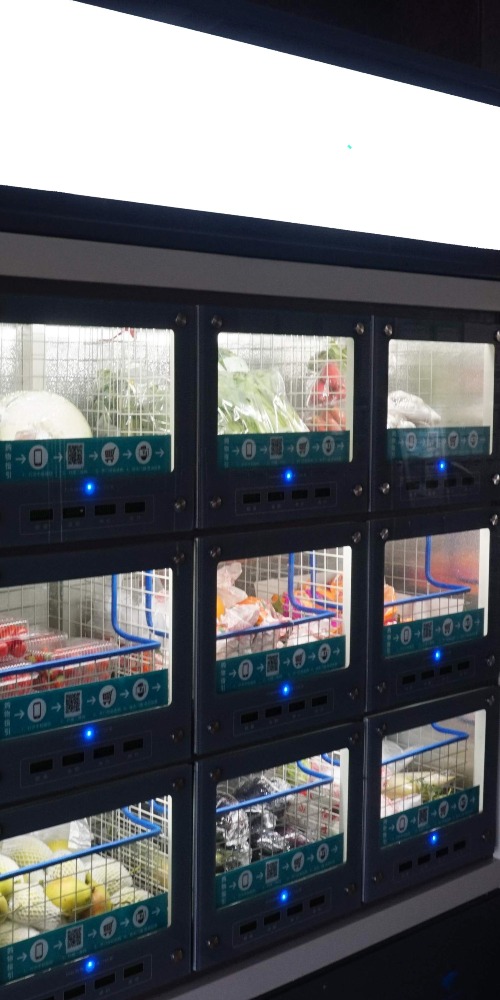 當代中國-粵港澳大灣區-一小時生活圈-菜籃子cover