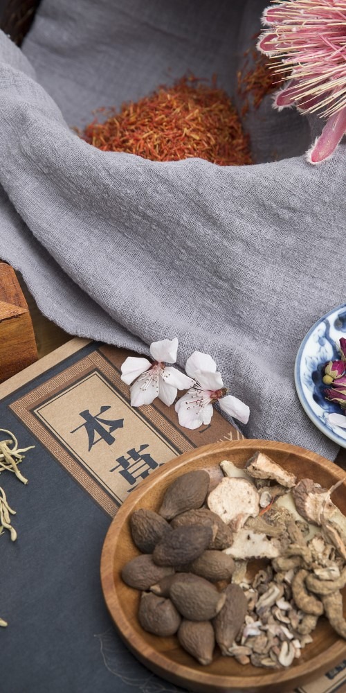 當代中國-粵港澳大灣區-樂活灣區-一小時生活圈-棋琴澳門中醫藥cover2