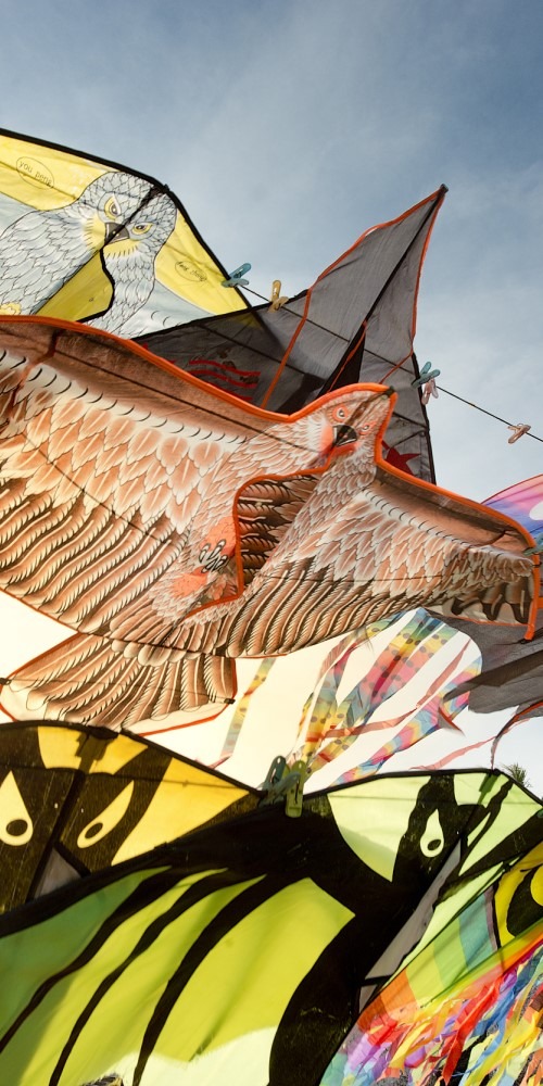 The main custom of Huizhou's Chung Yeung Festival is to fly kites, believed to ward off bad luck and attract good fortune 