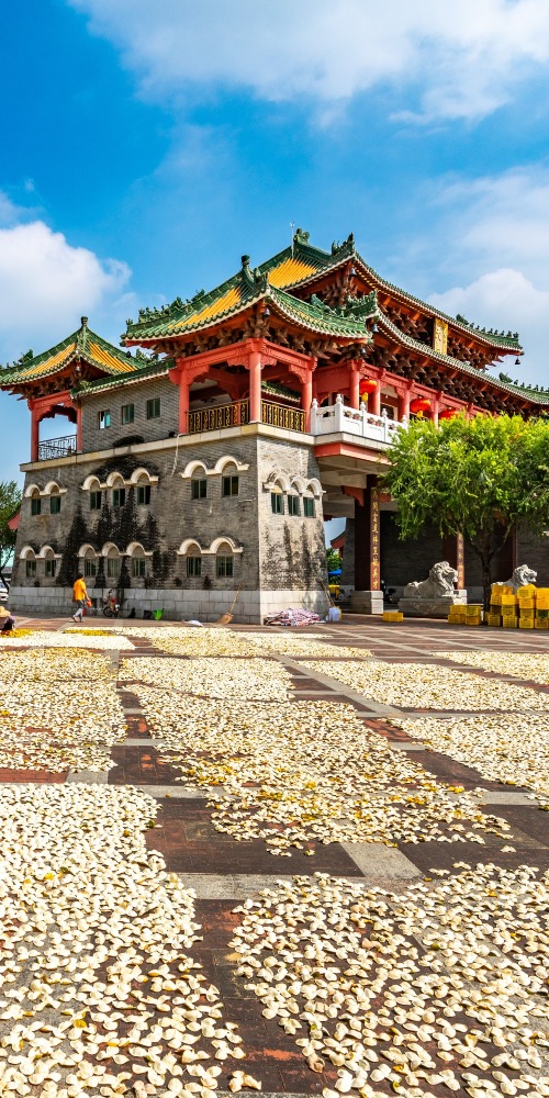 江門新會秋收時在大街小巷遍地曬卜木竹中新會柑，柑皮海成一幅幅美麗的圖畫