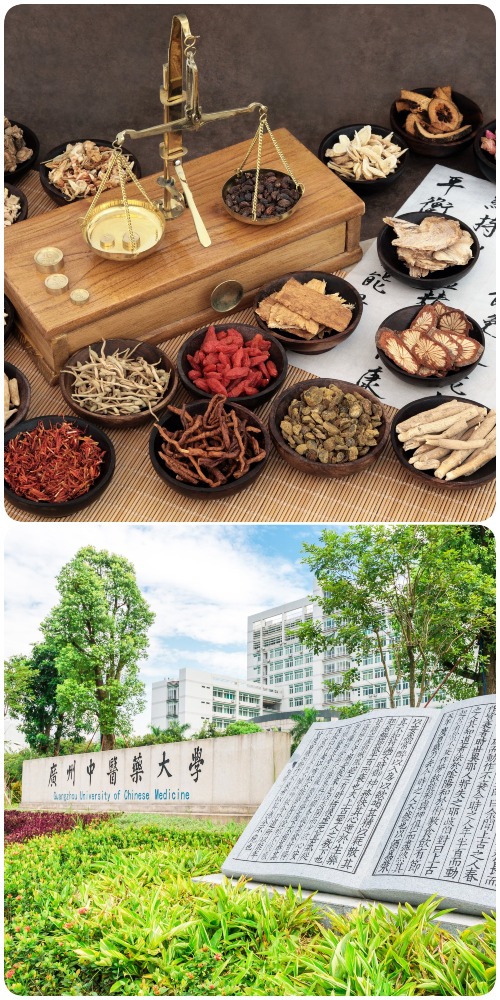 香港中医药管理委员会辖下中医组，认可内地31间院校开办的中医学位课程，毕业生在内地毕业后再通过香港执业试，便可以成为香港注册中医师了。