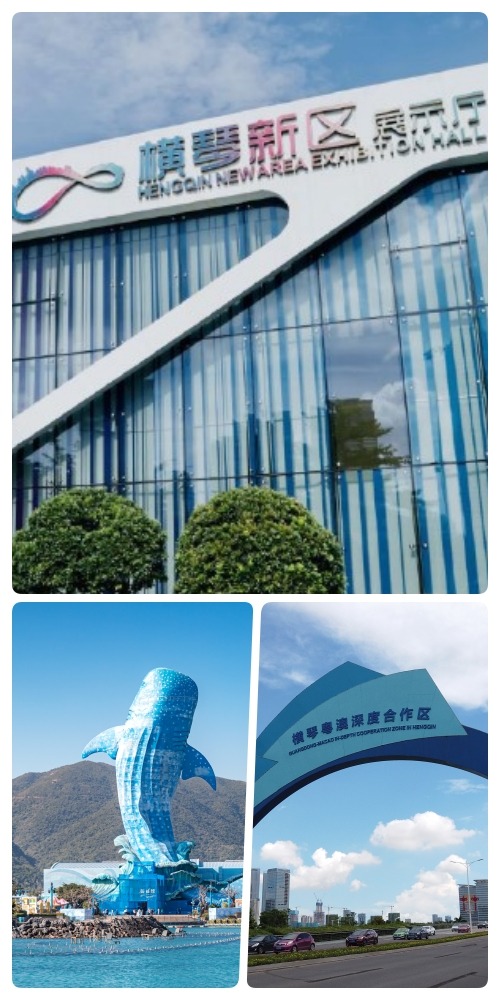 横琴新区是自由贸易试验区，又是粤澳深度合作区，位处交通四通八达的大湾区中心，发展令人期待。横琴新区规划建设展示厅展示横琴新区的发展理念。