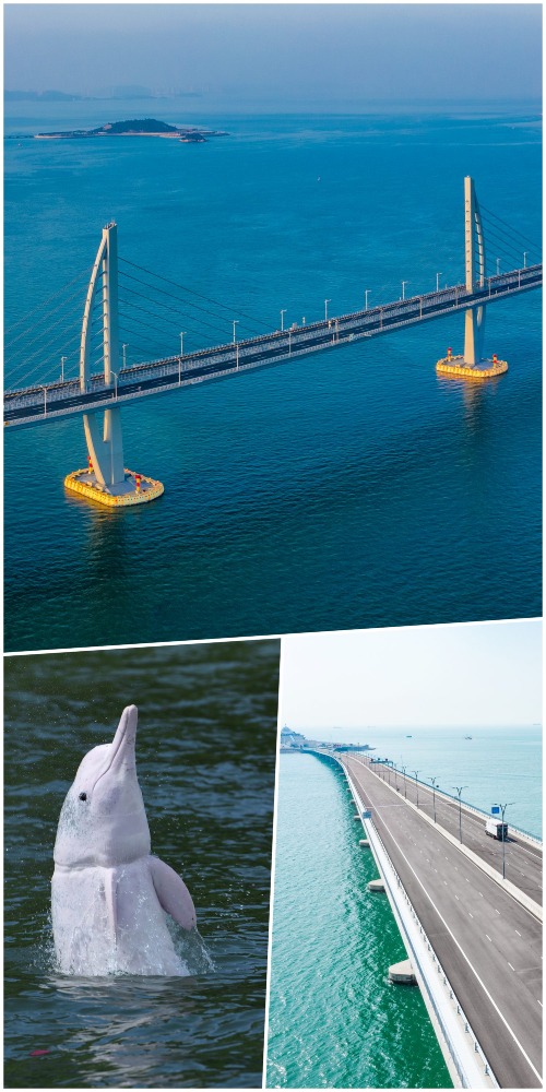 港珠澳大桥遊