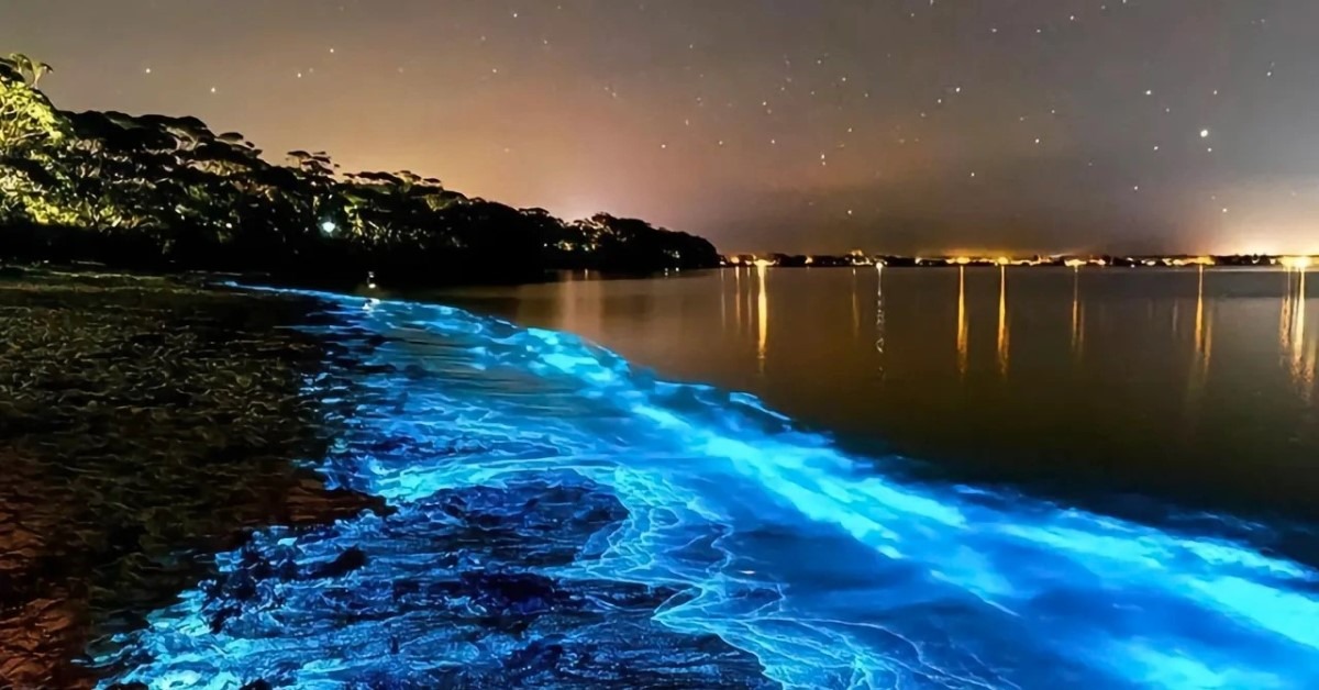 Hotspots for watching Blue Tears in the Greater Bay Area 