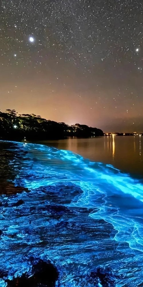 Hotspots for watching Blue Tears in the Greater Bay Area 