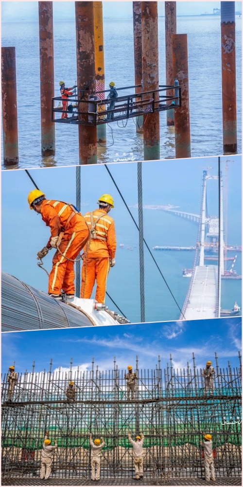 深中通道大事记及图辑