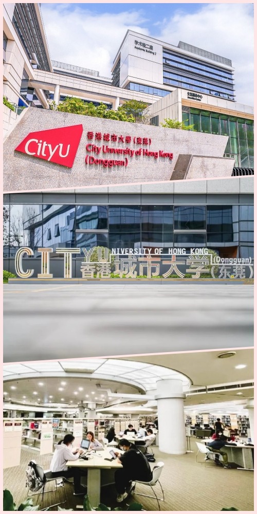  是東莞市人民政府、香港城市大學和東莞理工學院共同合作辦學的重點大學。