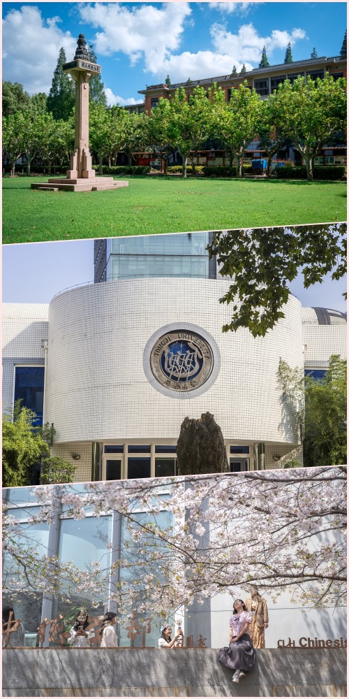 同濟大學是參與「內地高校招收香港中學文憑考試學生計劃」（又稱「DSE免試招生計劃」）138間的其中之一，入選「雙一流」建設高校，是國內重點大學。