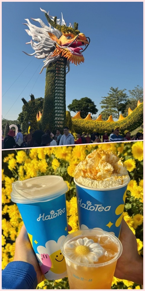 中山小榄菊花会