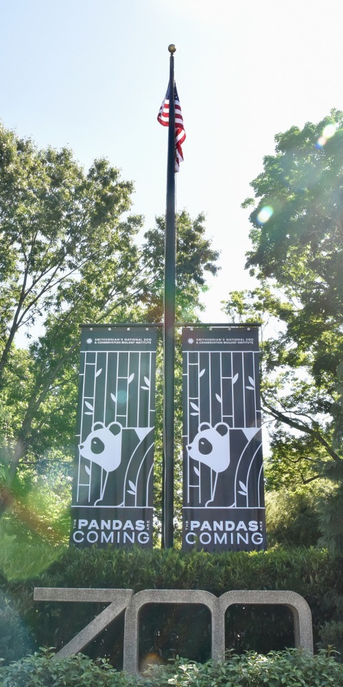 中美「熊貓外交」重啟