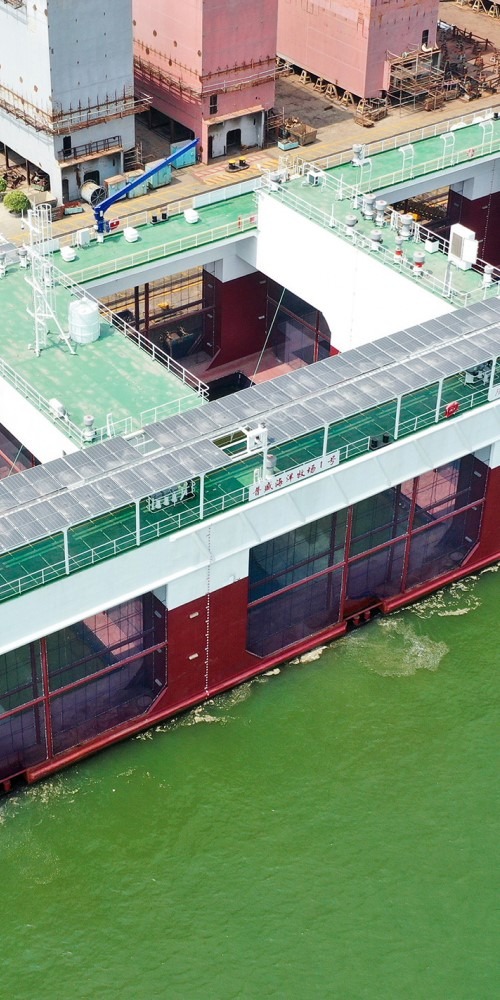 當代中國-粵港澳大灣區-樂活灣區-直通廣州-廣州建海南海洋牧場cover