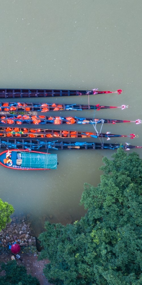 當代中國-粵港澳大灣區-樂活灣區-直通廣州-廣州端午起龍cover