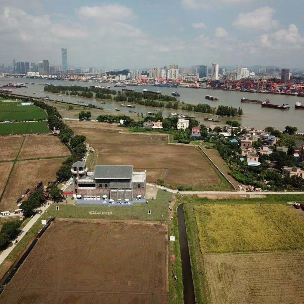 沒公車沒大橋，雖原始又有高科技，廣州大吉沙島上有一個「雜交水稻之父」袁隆平的「禾下夢」隆平稻香園，以智能化管理種植稻米。