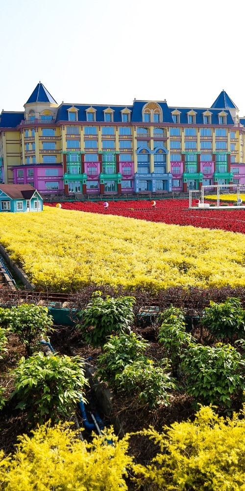 “百万葵园”有无数的向日葵、郁金香、薰衣草等色彩鲜艳的花卉，是国家5A级旅游景区。这里的花都是“不老”的，四季如春的魅力以及童话般的游园充满浪漫情怀，是南沙一个新的湾区打卡特色旅游区。