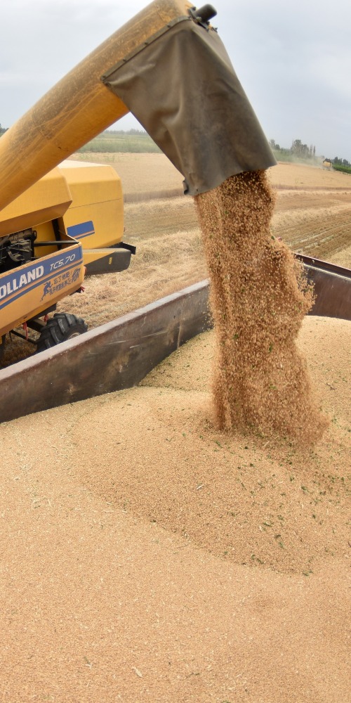 广州高温潮湿的天气，向来不容易保存谷物。直属国家的中央储备粮广州直属库，自2012年开始便利用高科技储粮技术，到今天已成功突破限制储粮高达10万吨，足够一百万人半年食用。