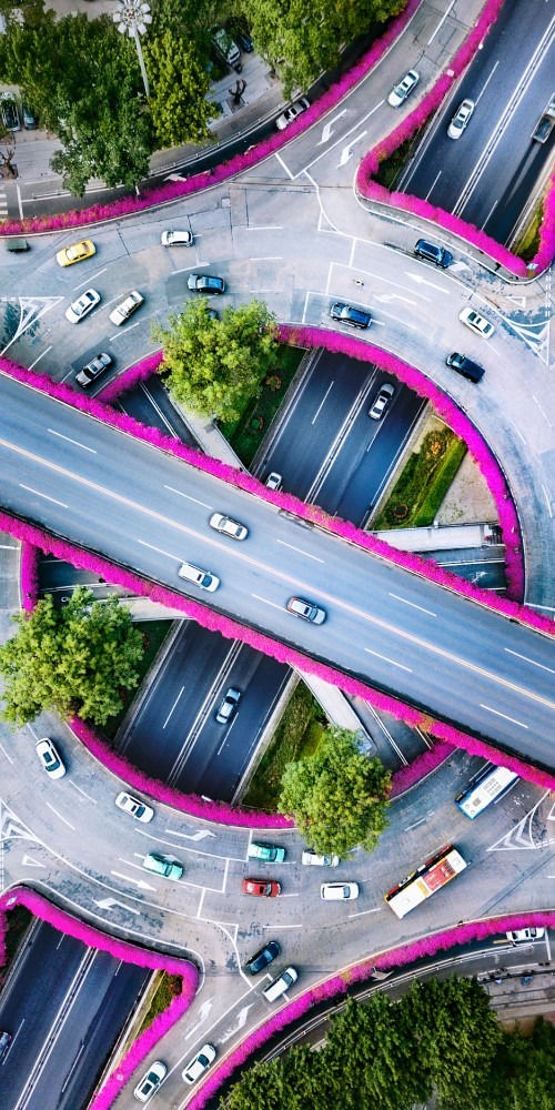 廣州市內，幾乎所有的高架橋（架空天橋）兩旁，正綻放着色彩斑爛的簕杜鵑。從高空往下看，交疊的天橋束着花腰帶，展現出迷人的「身段」。廣州是全國簕杜鵑綠化最多最美的城市，佔全市綠化橋樑9成，品種亦是全國最多。 於2021年7月起廣州開始實施橋樑綠化植物花期調控措施，並通過修剪精准控芽、水分控制促進花芽化、營養調節增加花量、生長調節 ，今簕杜鵑生長時間更集中統一